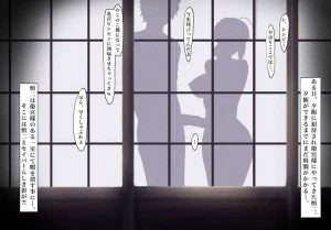 pcpc - Fate 衛宮邸のある一室にて