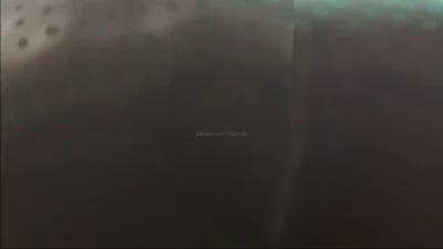 Kishi3D - Peni sitting on your face pov video - Free Hentai Manga, Doujinshi and Comics Online Reader | LewdVault.com
