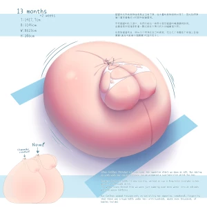 daduko - CPOR!-12 (CatChan's Pregnancy Observation Record!-12)