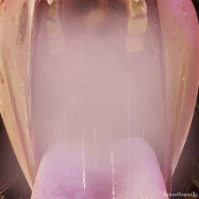 WastelandFoxBoy - Panting Animation part 2 - Free Hentai Manga, Doujinshi and Comics Online Reader | LewdVault.com