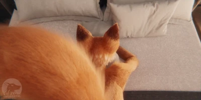 Furromantic - [Animation | VR] - Having fun with Sophie (4K/VR8K/MixedReality) - Free Hentai Manga, Doujinshi and Comics Online Reader | LewdVault.com