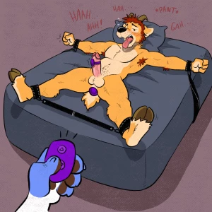 Jackaloo - Sixth Day of Kinkmas 