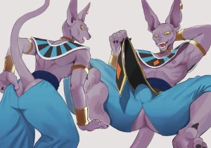 k0bit0wani - Beerus’s pants hole