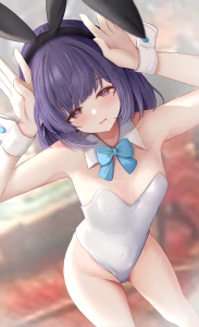 天空かぷちーの - うさぎさん美鈴