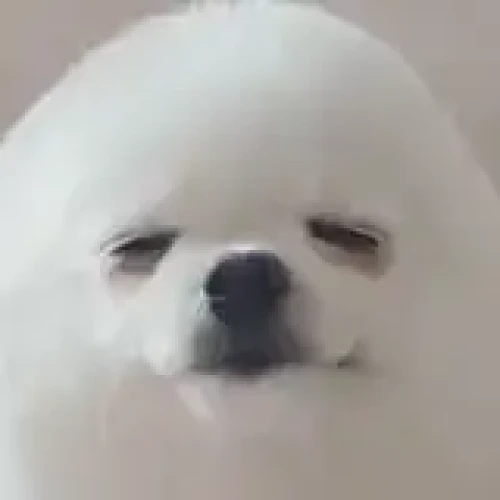 4kundessuuu