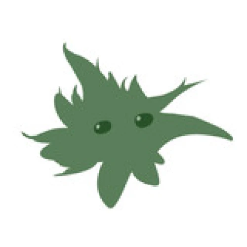 D7