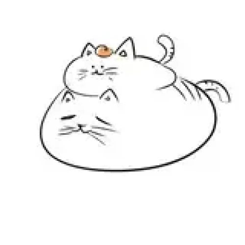 さだもち