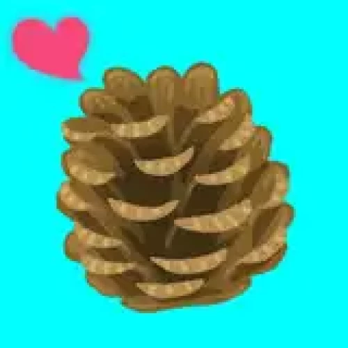 でかぼっくり