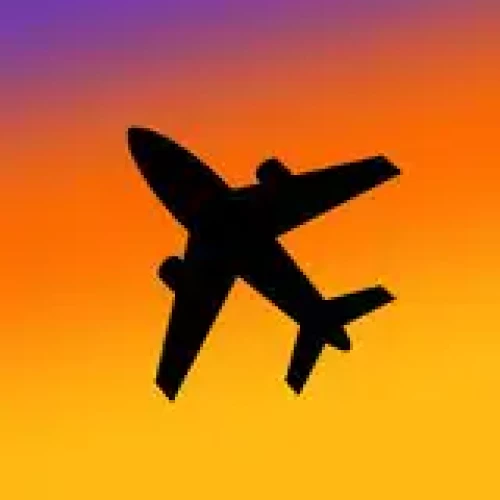 変な空港