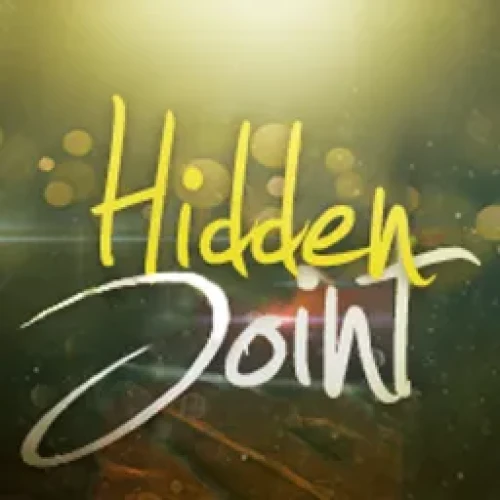 Hidden Joint