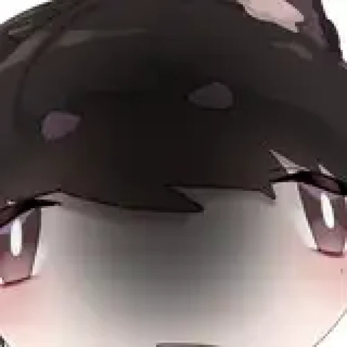 Nujig