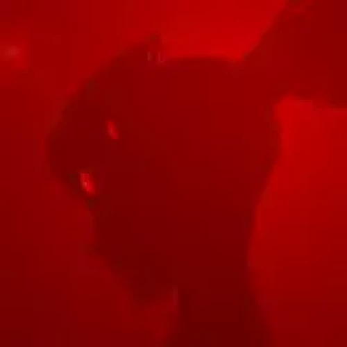 Bloosayshello