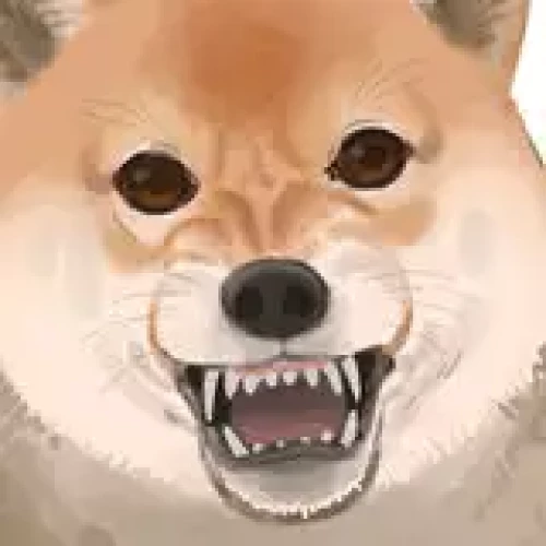 信じろ