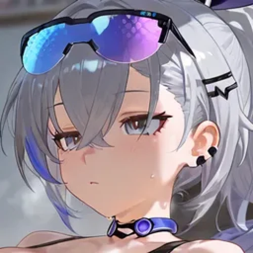 Silver Turtle