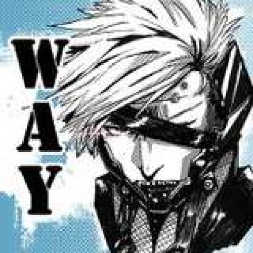 waybullet