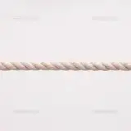 さすらいのヒモ