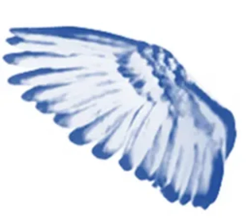 Bluewing Writings