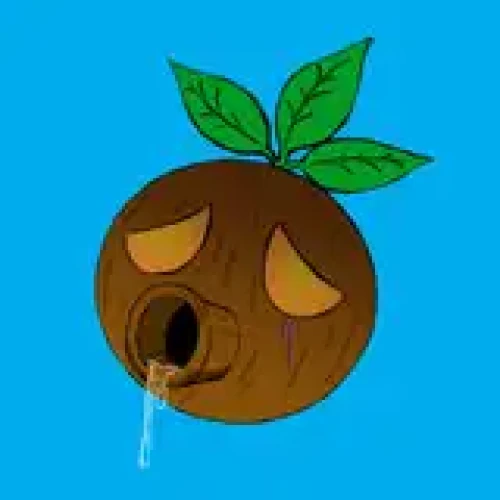 ハチ禄式