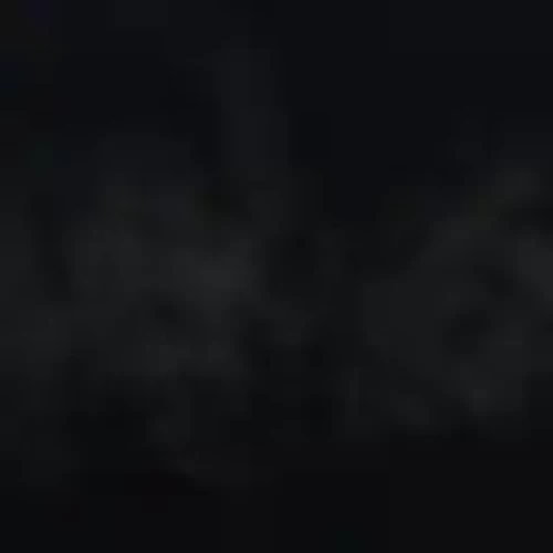 steponeonedesire