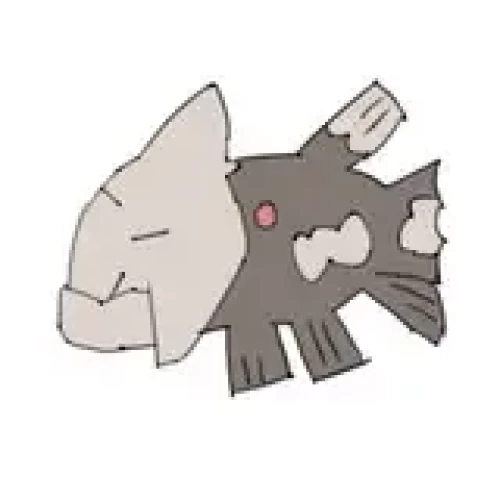 shibataglance