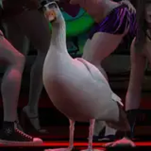 Entitled Goose