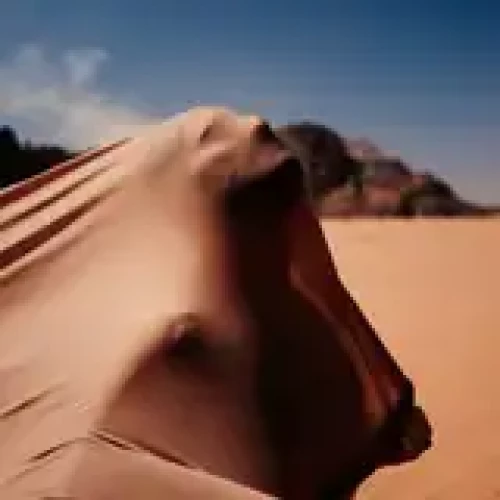 alexispaoleschi