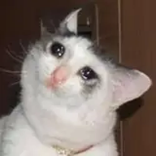 SadgeCatte
