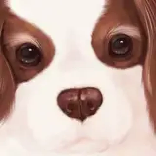 cavalier
