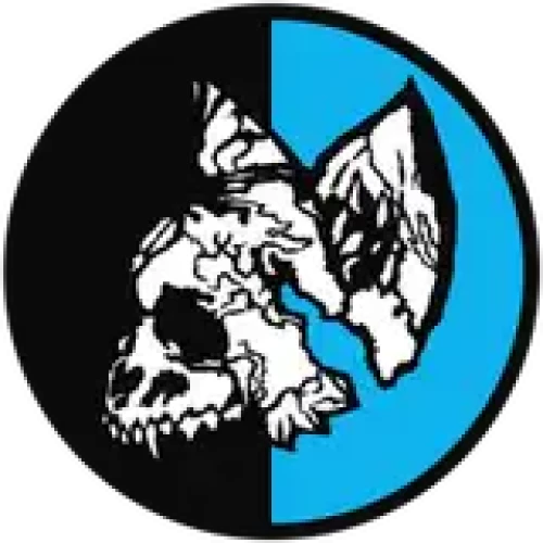 Vympel